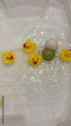 Hand holding a toy turtle surrounded by floating rubber ducks in water with gentle ripples
