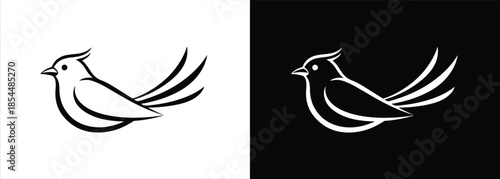 Stylized bird illustrations on contrasting white and black backgrounds showcasing fluid design elements