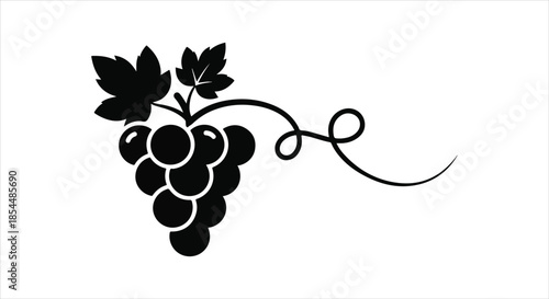 A stylized illustration of grapes with leaves on a vine
