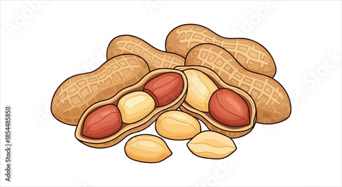 A pile of peanuts with some shells open to reveal the nuts inside, a simple still life illustration.