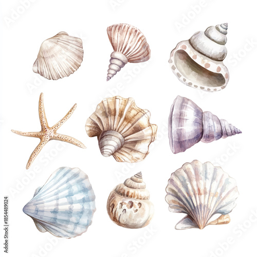 Watercolor collection of various seashells and a starfish.
