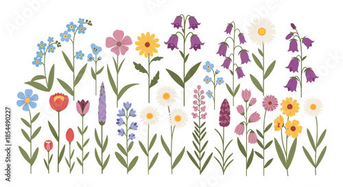 Collection of various colorful wildflower illustrations including daisies, bluebells, tulips, and forget-me-nots on a white background.