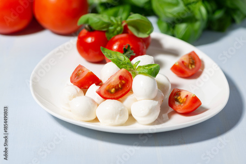 Fresh mozzarella and cherry tomatoes with basil on a plate