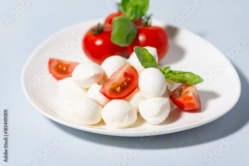 Fresh mozzarella and juicy tomatoes with basil on a plate