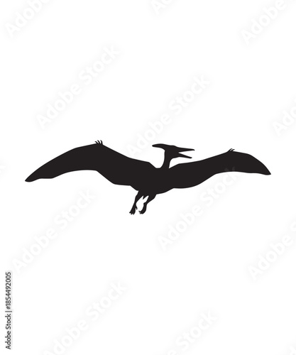 Silhouette of a prehistoric flying pterodactyl icon isolated on white background