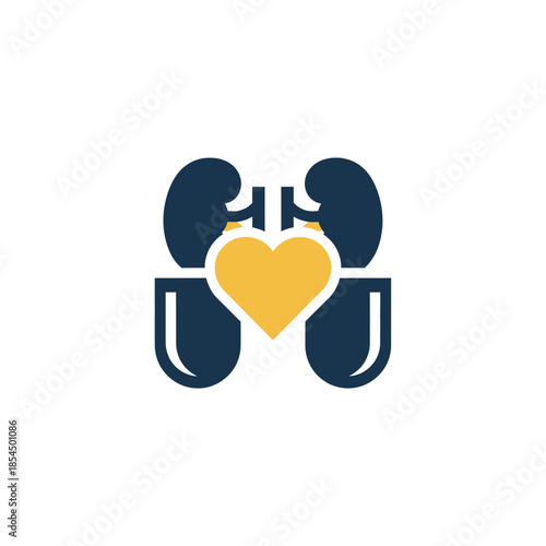 World kidney day healthy lifestyle medication routine capsule split silhouette vector illustration