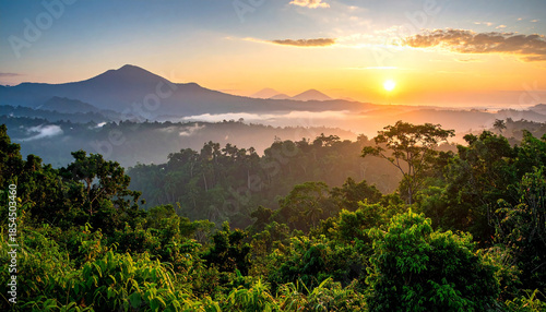 A view of the jungle from the top of the mountain beautiful scenery of trees growing on mountain
10