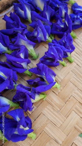 Vibrant Blue Flowers Arranged on Natural Woven Surface for Beautiful Floral Background