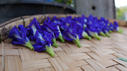Vibrant Purple Flowers Arranged on Traditional Bamboo Basket for Nature and Decoration