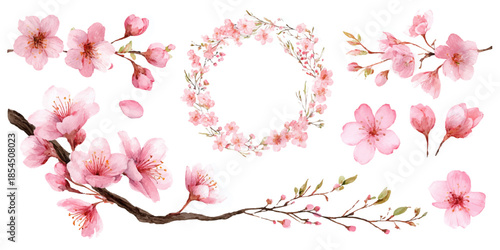  elegant illustration featuring a variety of cherry blossom flowers in soft pink hues. 