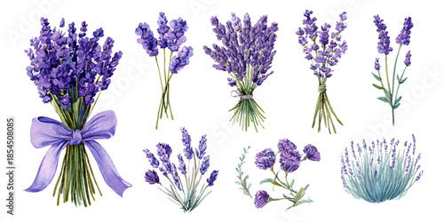 Delicate lavender bouquets and stems