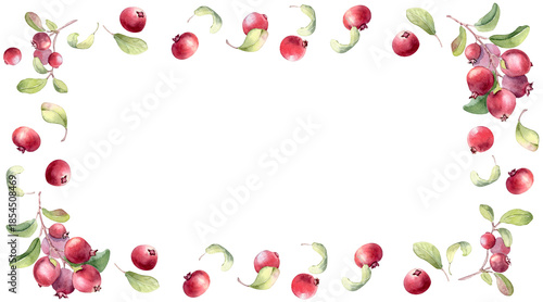 Photography Watercolor lingonberry frame with green leaves and red berries on white background