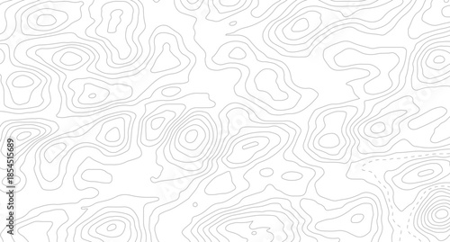 Vector geographic contour map. Background of the topographic map. Topographic map lines, contour background.
