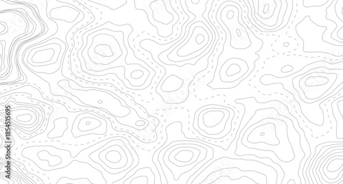 Vector geographic contour map. Background of the topographic map. Topographic map lines, contour background.
