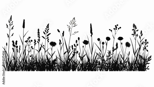 Silhouette of Wildflowers and Grasses.