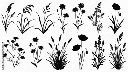 Collection of Various Wildflowers and Grasses Silhouettes.