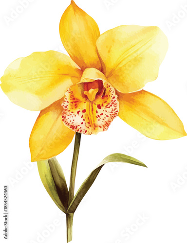 Vibrant Yellow Orchid Watercolor Illustration