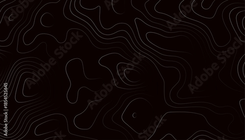 Dark Abstract Topographic Contour Line Background
