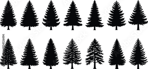 Collection of pine and evergreen tree silhouette icons, black forest trees set on white background, nature graphic design elements illustration