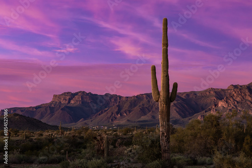 Sonoran Sunset