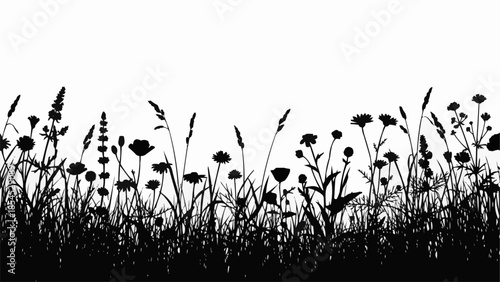 Silhouetted Wildflowers and Grasses Against White Sky.