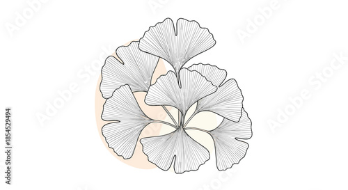 Elegant line art illustration of a ginkgo biloba branch with delicate, fan-shaped leaves set against a soft abstract background.