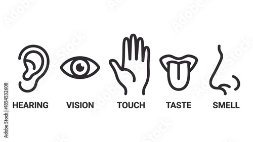 Five Human Senses Icons – Hearing, Vision, Touch, Taste and Smell Line Illustration
