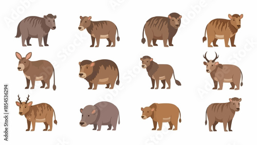 Collection of Various Brown Mammal Animals.