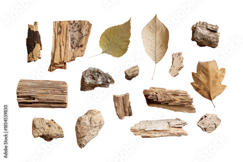 Collection of Dried Leaves and Wooden Pieces