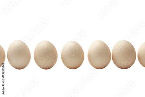 Row of Brown Eggs on White Background