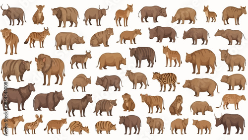 Collection of Various Wild Animals Illustrated.