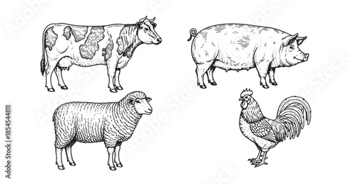Farm Animal Vintage Engraving Set For Rustic Packaging Design