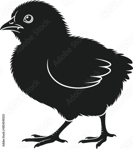 Black chick silhouette vector with white eye detail bird animal