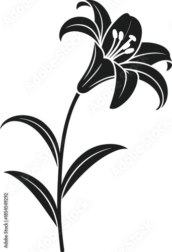 Black silhouette of a blooming Easter Lily flower with stem and leaves on a white background blossom