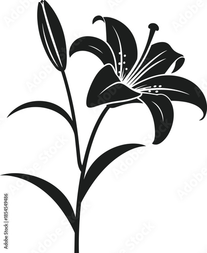 Black silhouette of a blooming lily flower with a bud on a stem vector