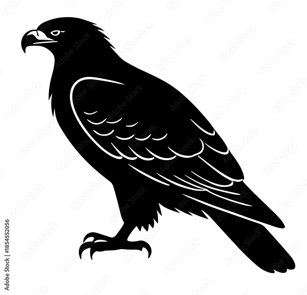 Fototapeta premium Perched Eagle Silhouette with Detailed Feathers and Talons