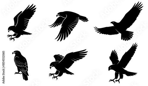 Eagle Silhouette Set Showing Flying and Landing Birds of Prey in Motion