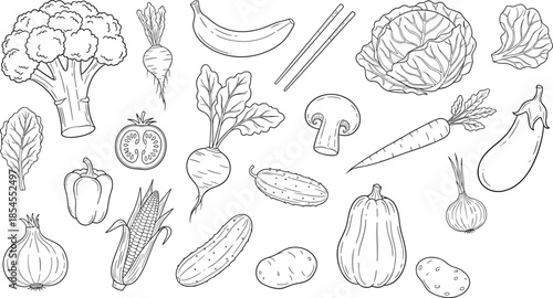 Black and white vegetable line art, food icons, healthy produce, educational sketch style, detailed drawing, flat vector illustration
