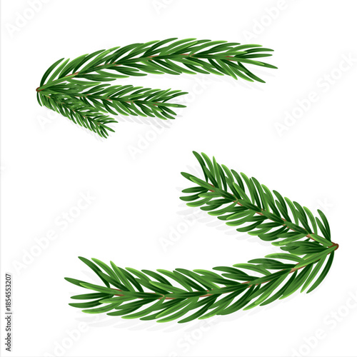 Illustration of realistic fir branches on a white background
