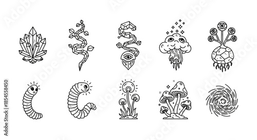 Black and white illustrations of sea creatures.