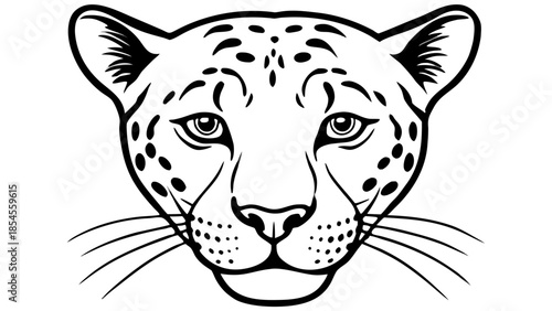 vector illustration of a leopard