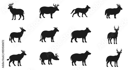 Diverse collection of animal silhouettes capturing wildlife elegance for naturalistic design projects and educational materials