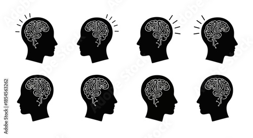 Brain Circuitry Illustration