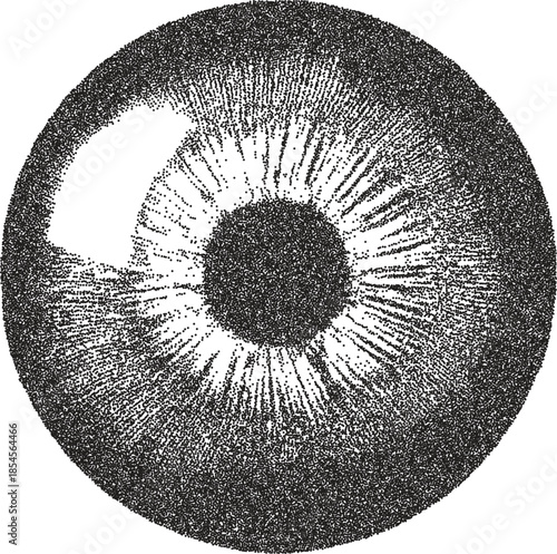Eye y2k retro stipple art iris brutalist halftone vector png transparent, vision 2000s photocopy effect tattoo aesthetic
