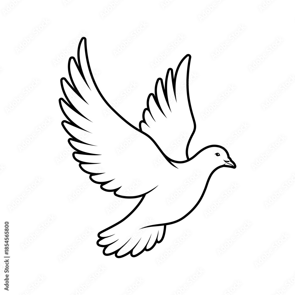 Fototapeta premium bird dove pigeon peace vector flying animal