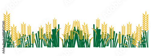 Wheat growth stages vector illustration. agriculture product or farm plant. Vintage autumn wheat sheaf engraving.