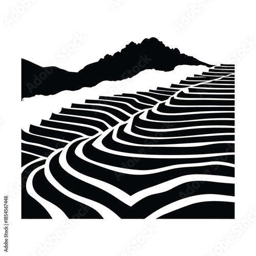 Rice Terraces Under Fog