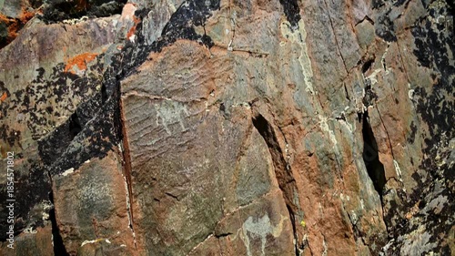 Images engraved on stone by ancient inhabitants of Central Asia in the territory of modern-day Altai. Ancient petroglyphs dating back over 2,000 years.