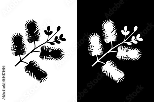 Acacia Flower Silhouette Vector Illustration Elegant Botanical Design