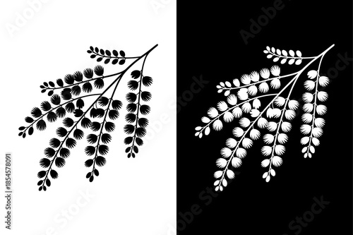 Floral Acacia Flower Decoration Silhouette Vector Illustration for Spring